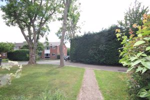 Photo 9- click for photo gallery